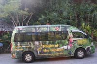Spass und Erlebniss Zipline Fly of the Gibbon 1994
